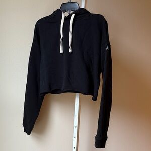 Alo Crop Hoodie